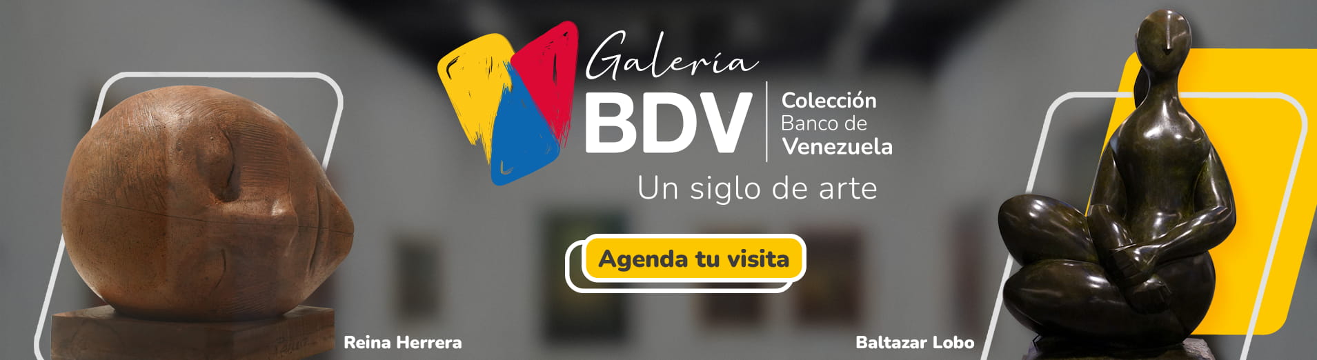 Galería BDV - Conoce nuestros productos y servicios